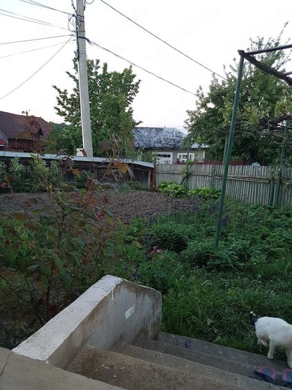 Casă cu 3 camere cu Teren 8400 Mp în Bucșești