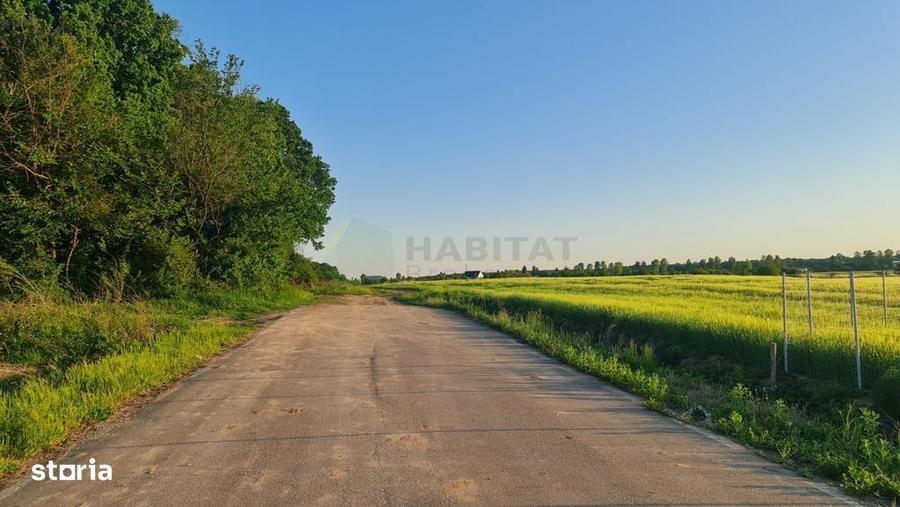 Teren de 8569 mp, în Ciolpani