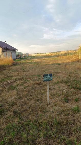 Teren de 1500 mp, în 1 Decembrie