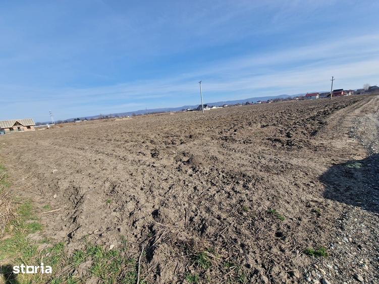 Teren de 710 mp, în Calea Bârladului