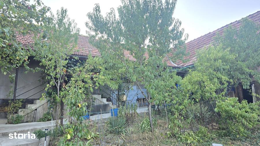 Vand casa in Deva, zona Viile Noi, suprafata de teren de 766 mp, - 1