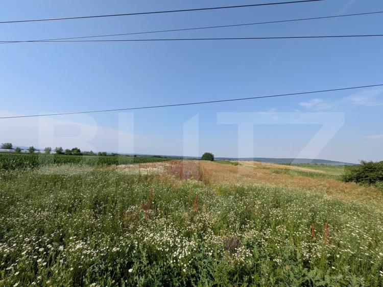 Teren Construcții intravilan de 3000 mp, în Comișani
