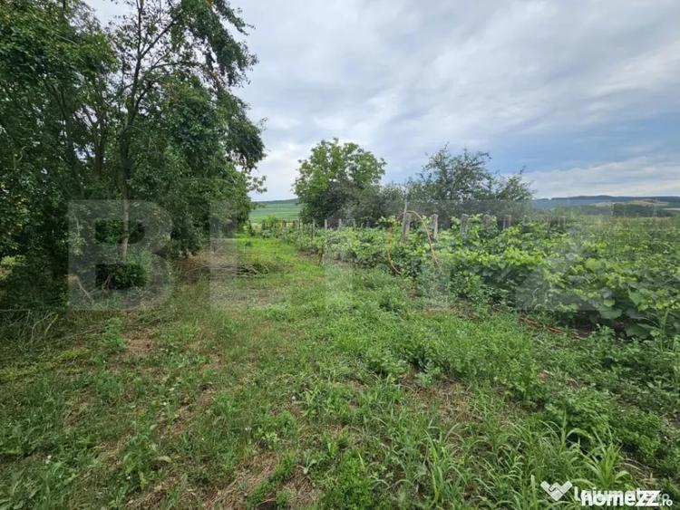 Casă cu 3 camere cu Teren 2698 Mp în Cistei