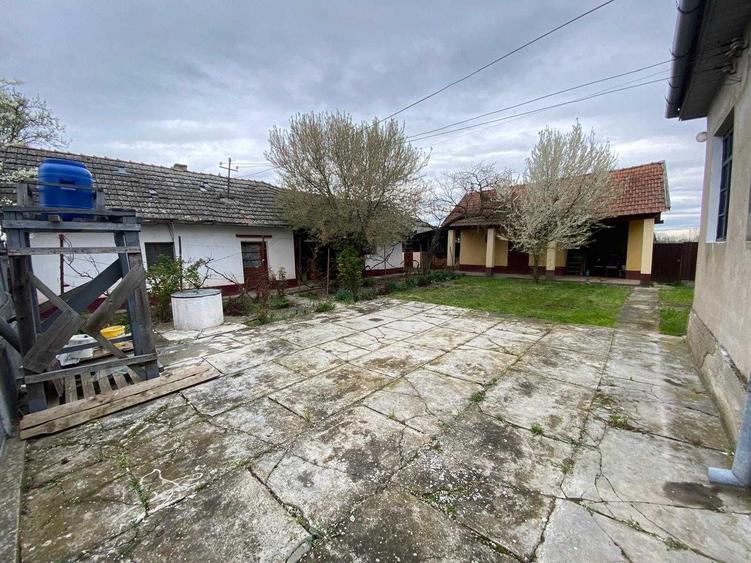 Casă cu 4 camere cu Teren 2880 Mp în Sintea Mare