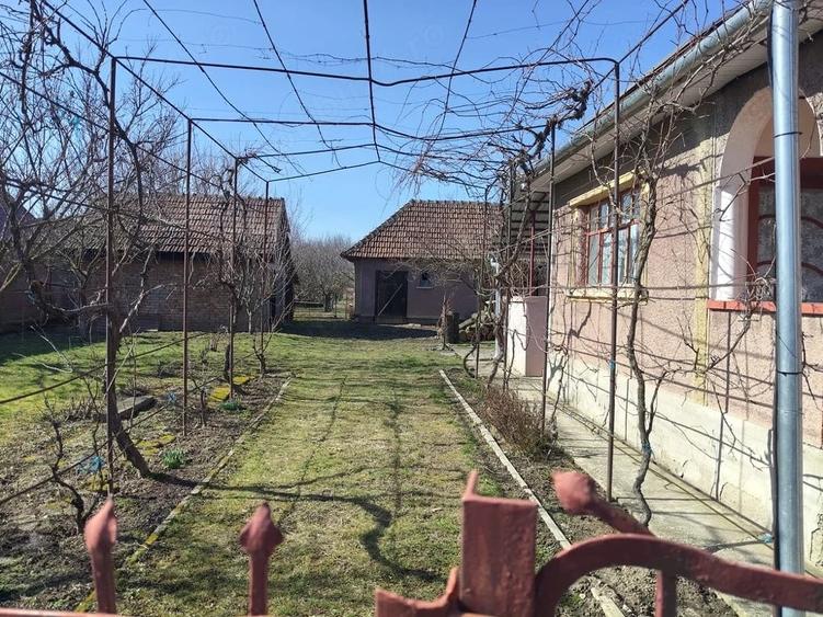 Casă cu 5 camere cu Teren 4000 Mp în Supur