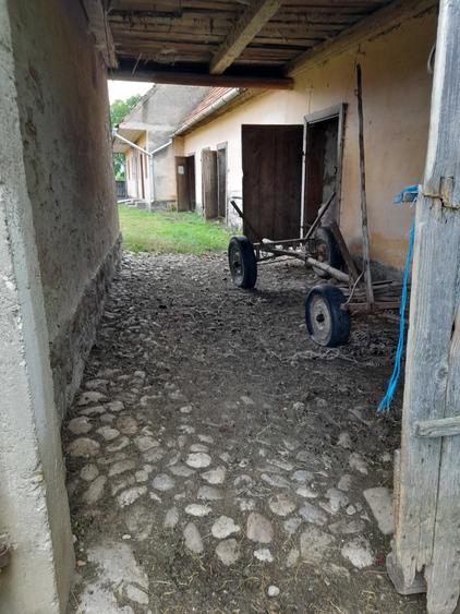 Teren de 24295 mp, în Vama Buzăului