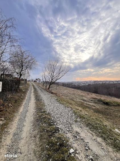Teren de 2616 mp, în Curtești
