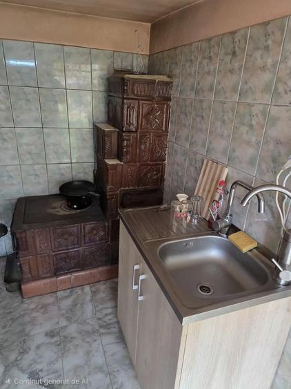 Vand casa ?i teren in Brezoi - 8