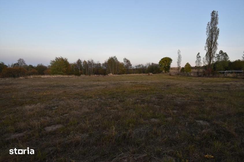 Teren de 2540 mp, în Căpușu Mare