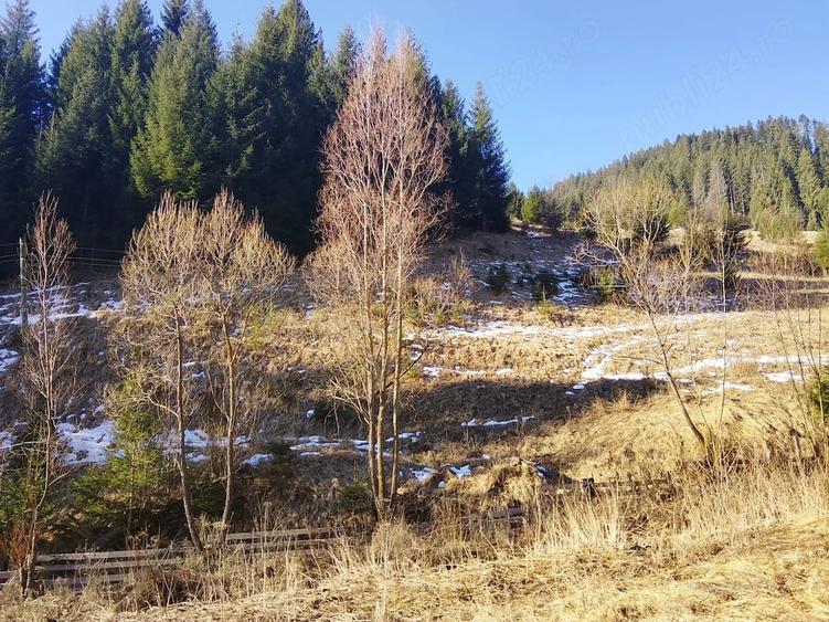 Teren de 1500 mp, în Bicazu Ardelean