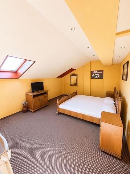 Vila Sanmartin -Zona Beverly Hills -8030mp teren - 9