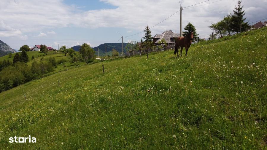 Teren intravilan 4.151 mp in Pe?tera (Moeciu), Proiect DTAC inclus - 9