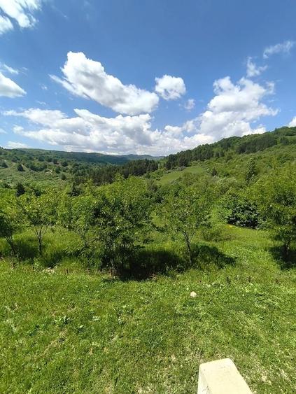 Casă cu 5 camere cu Teren 5000 Mp în Roșu