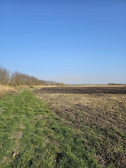 Teren agricol extravilan de 50000 mp, în Biharia