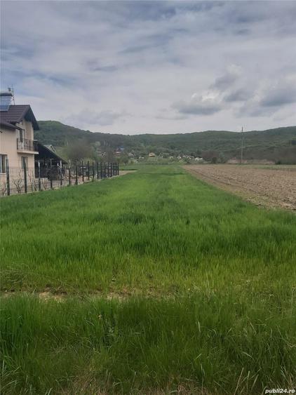 Teren de 2450 mp, în Băiculești