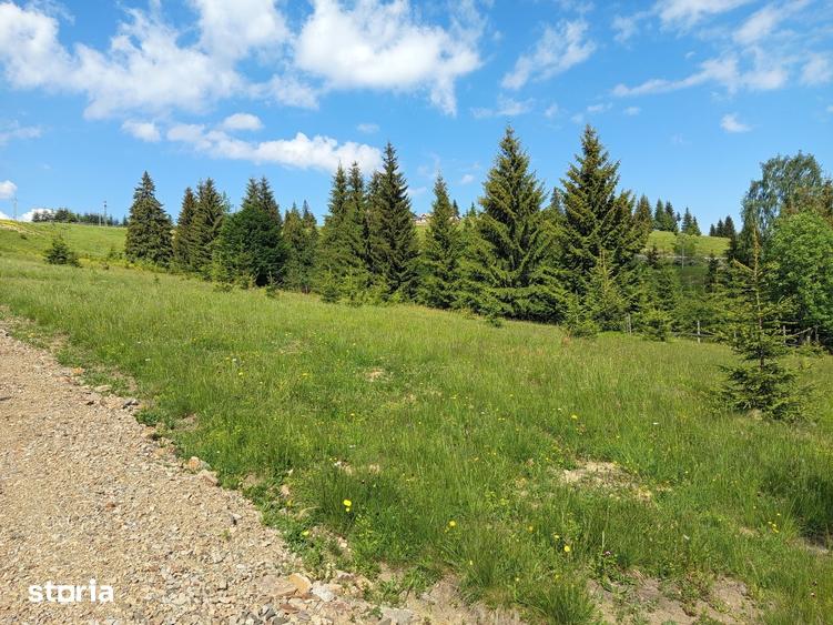 Teren de 700 mp, în Tiha Bârgăului