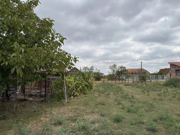 Casă cu Teren 3001 Mp în Bethausen