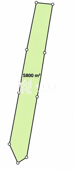 Teren agricol extravilan de 5800 mp, în Daia