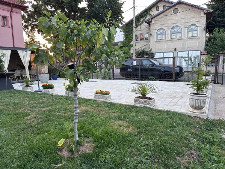 Spațiu comercial, în Băneasa