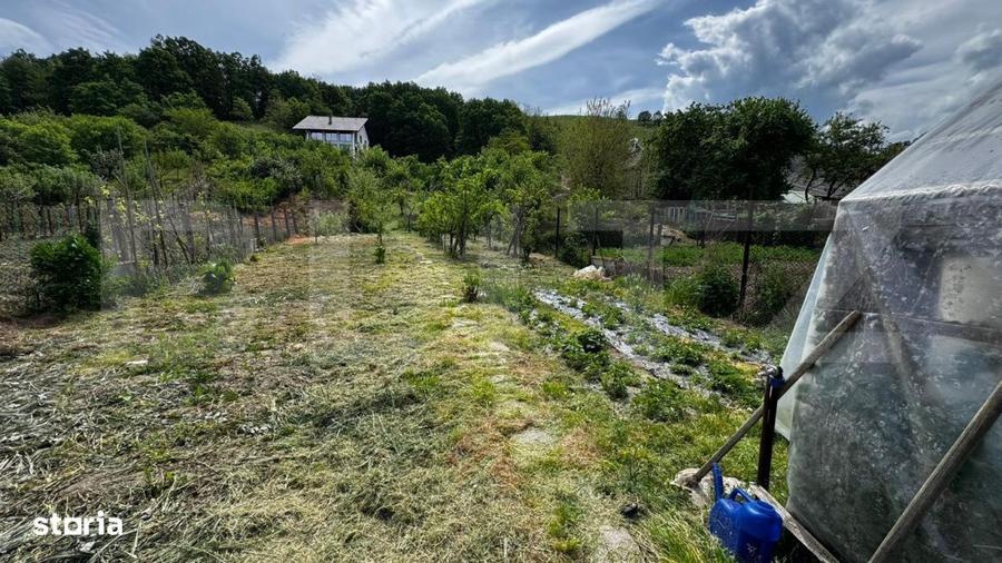 Casă cu 3 camere cu Teren 1180 Mp în Săsciori