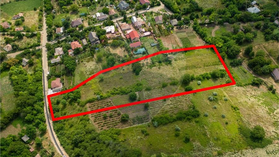 Teren Construcții intravilan de 8841 mp, în Uricani
