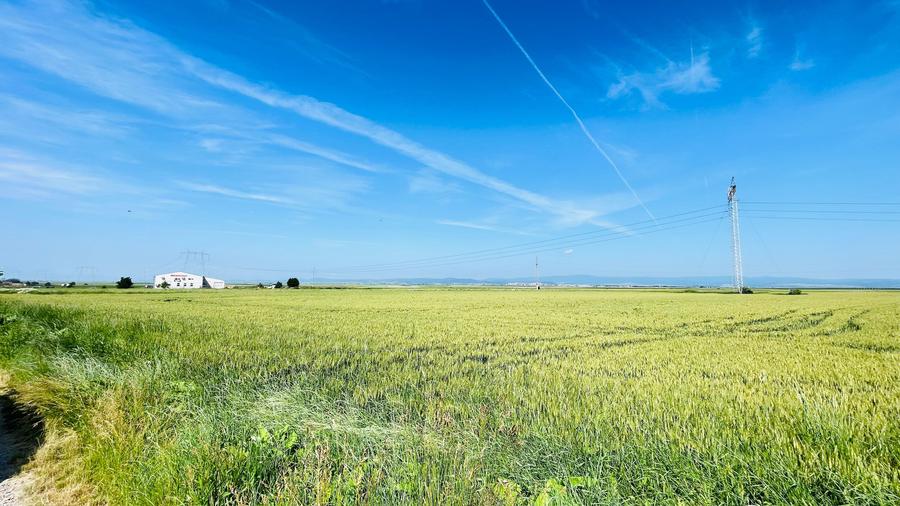 Teren agricol extravilan de 74615 mp, în Reci