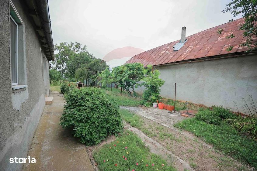 Casă cu 3 camere cu Teren 3205 Mp în Sânnicolau Român