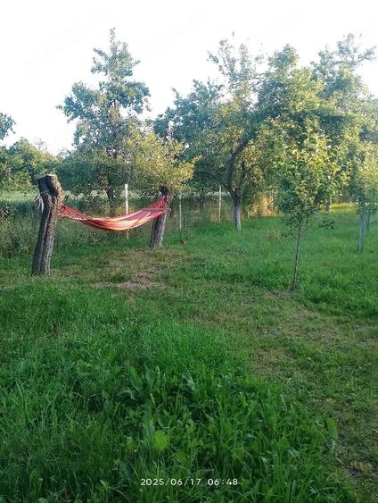 Casă cu 2 camere cu Teren 1800 Mp în Bumbești-Pițic