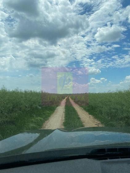 Teren de 94000 mp, în Albota