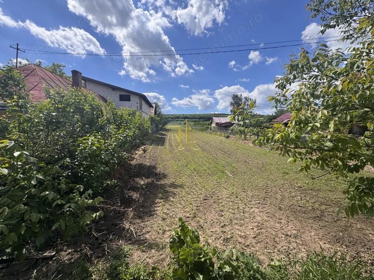 Teren de 2900 mp, în Lipoveni