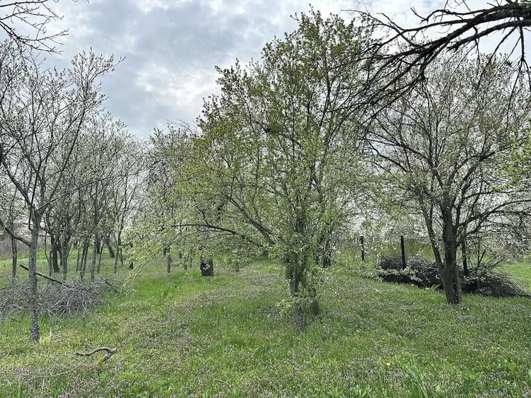 Teren de 7491 mp, în Găiseanca