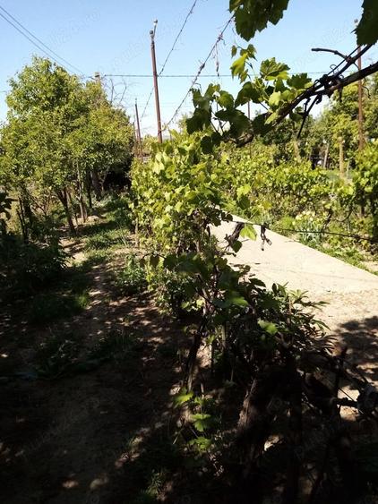 Casă cu 3 camere cu Teren 2000 Mp în Zorleni