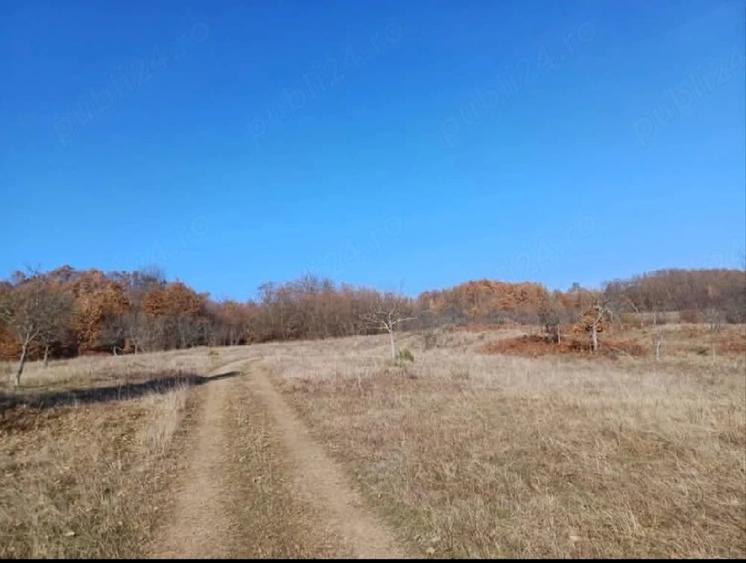 Teren de 10000 mp, în Valea