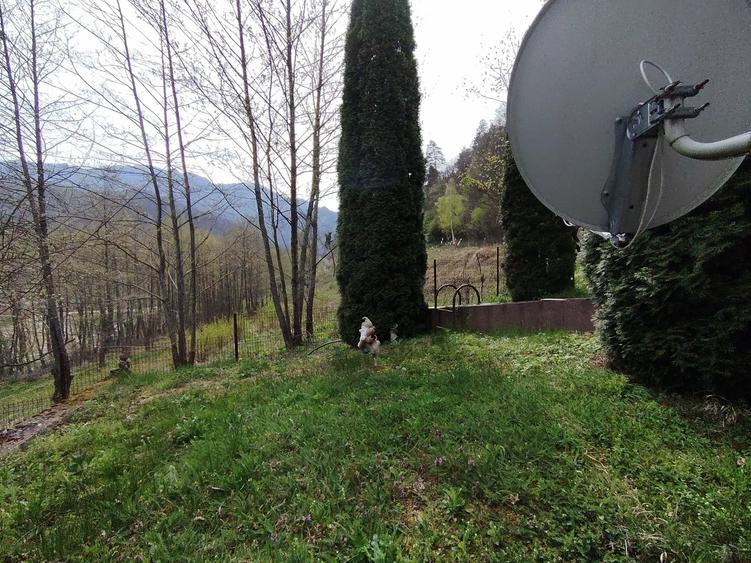 Casă individuală cu 4 camere cu Piscina în Exterior Vest