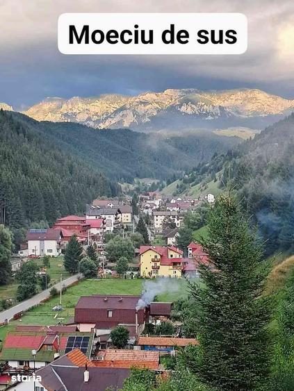 Casă cu Teren 3500 Mp în Moieciu