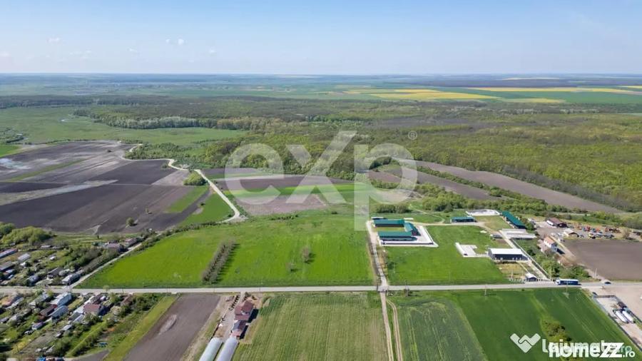 Black Angus Farm with authorized Slaughterhouse - 16