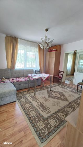 De vanzare casa in satul Carpinis - 2