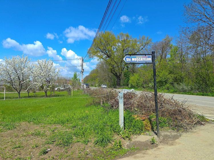 Spațiu comercial, în Breazu