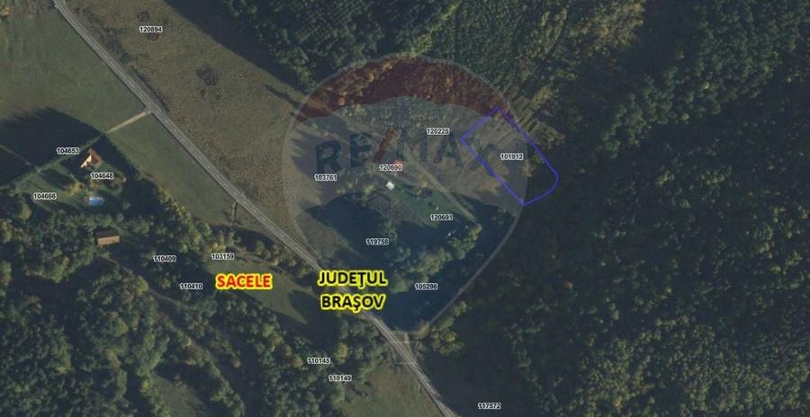 Teren Construcții intravilan de 4003 mp, în Babarunca