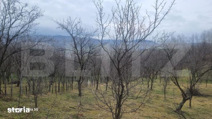 Teren de 3781 mp, în Izvoarele