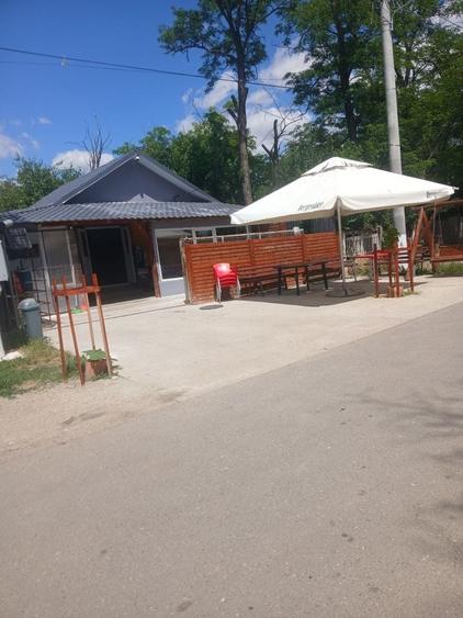 Spațiu comercial, în Alexandru Odobescu
