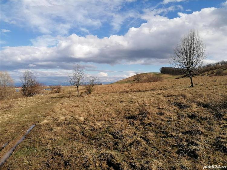 Teren de 3800 mp, în Crizbav