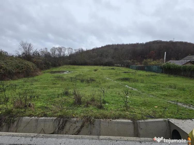 Teren de 2800 mp, în Borlești