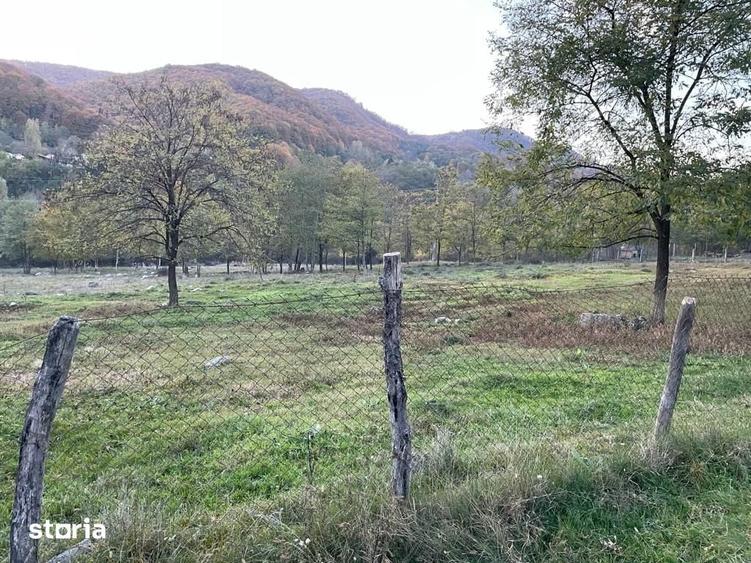 Teren de 13575 mp, în Bradu