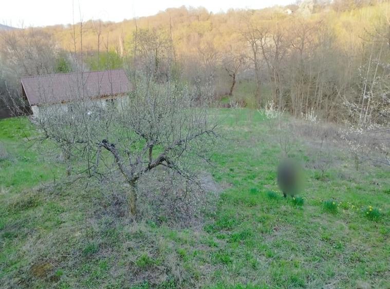 Casă cu 3 camere cu Teren 5200 Mp în Schela