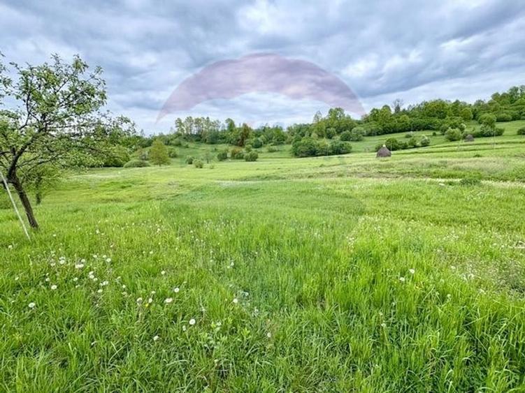 Teren agricol extravilan de 20876 mp, în Breb