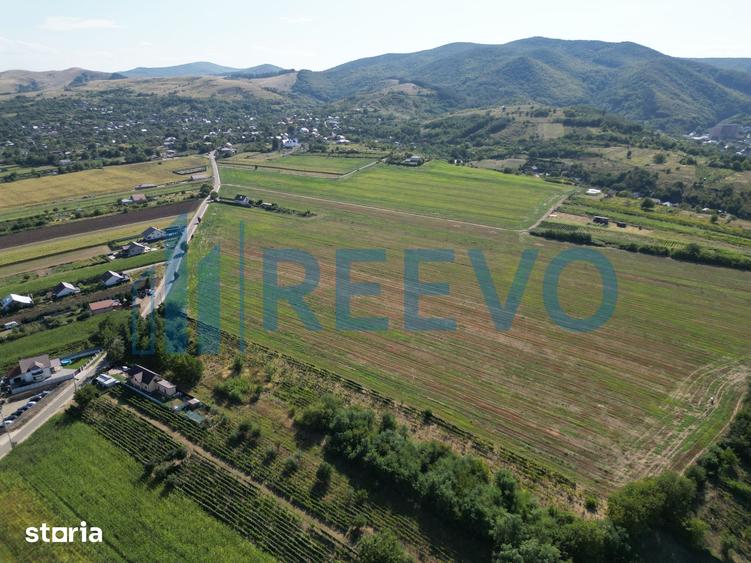 Teren de 7366 mp, în Sărata