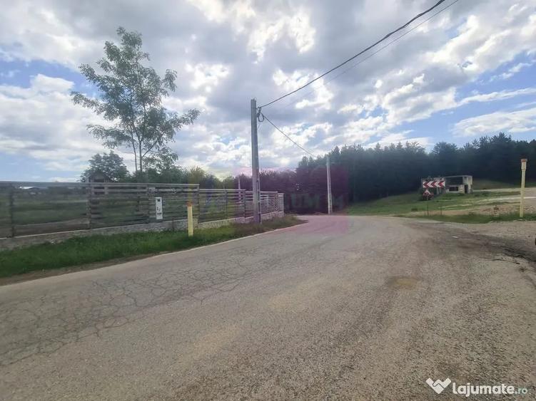 Teren de 9037 mp, în Plaiul Tălii
