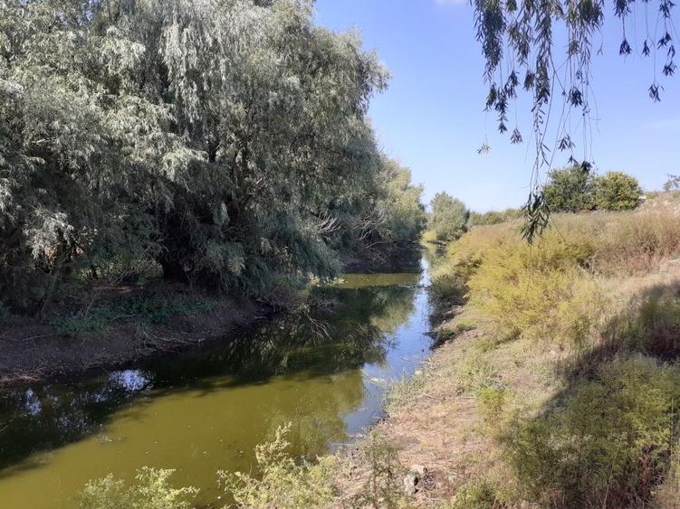 Teren Construcții intravilan de 3269 mp, în Central