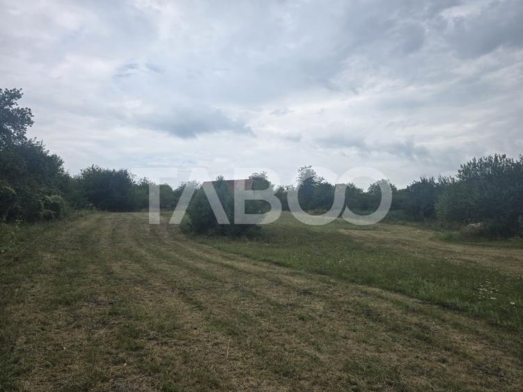 Teren agricol extravilan de 8700 mp, în Șura Mare